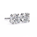 2.5 cts Round studs - 4 prong setting