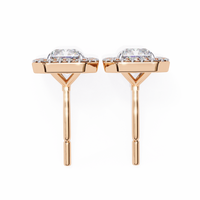 Radiant Halo Stud Earrings