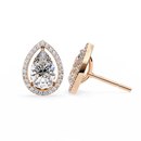 Teardrop Halo Earrings