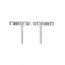 Ray Cluster Earrings