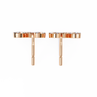 Ray Cluster Earrings