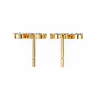 Ray Cluster Earrings