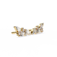 Ray Cluster Earrings