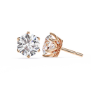 2.6 ct Round studs - Crown setting