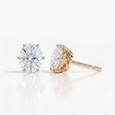 Oval solitaire studs - Lotus setting