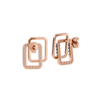 Dual Square Earrings