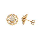 Floral Radiance Earrings