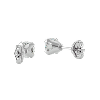 0.5 ct round studs - Martini setting