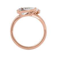Dual Destiny Ring