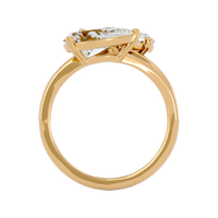 Dual Destiny Ring
