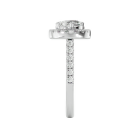 Contrasting Radiance Ring