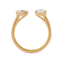 Equilibrium Ring