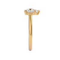 Equilibrium Ring