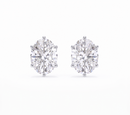 Oval studs - Crown setting