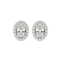 Oval Halo Studs - Basket Setting