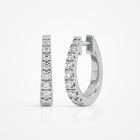 Lucent Curve Hoops
