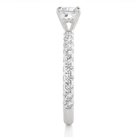 Apex Facet Ring - 0.6 cts princess