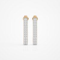 Zara Edge Hoops