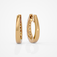 Lucent Curve Hoops